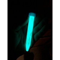 Fosfor Toz Mavi 20 gr