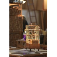 Prinç Telli |Saka-Muhabbet Kuşu|