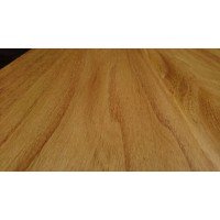 1cmx10cmx100cm Dut Ağacı