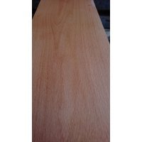 1cmx40cmx100cm Gürgen Ağacı