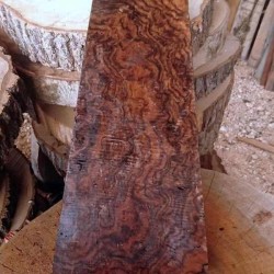 6cmx17xcmx51cm Kök Ceviz-4