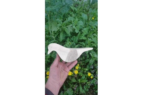 Kuş Taslağı Huş Ağacı R-1: Detaylı Rehber