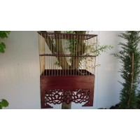 Paduak Ağacı Saka Kafesi