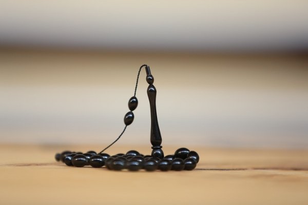 Afrika Sandal Ağacı 1cmx1cmx50cm 