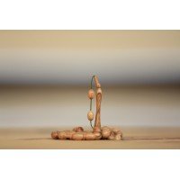 1cmx1cmx50cm Yerli Zeytin Ağacı