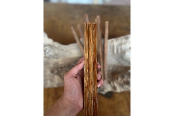 1cmx1cmx50cm Vahşi Palmiya Ağacı (Kırmızı)