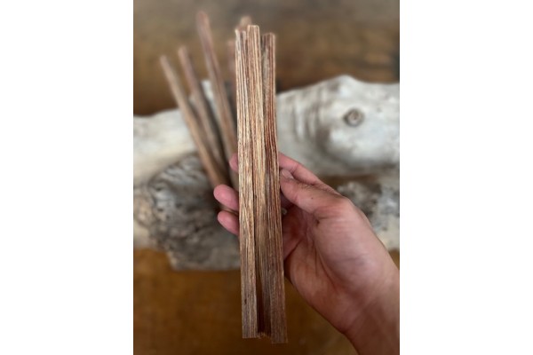 1cmx1cmx50cm Vahşi Palmiya Ağacı (Kırmızı)