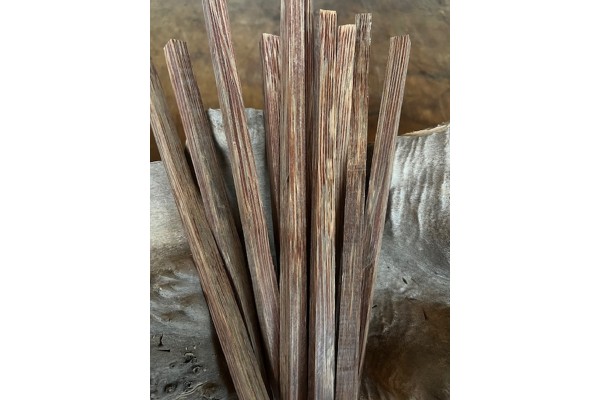 1cmx1cmx50cm Vahşi Palmiya Ağacı (Kırmızı)