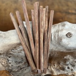 8mmx8mmx50cm Vahşi Palmiya Ağacı (Kırmızı)