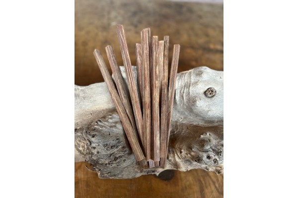 1cmx1cmx50cm Vahşi Palmiya Ağacı (Kırmızı)