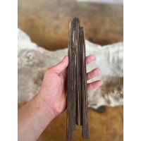 10mmx10mmx50cm Vahşi Palmiya Ağacı (Siyah)