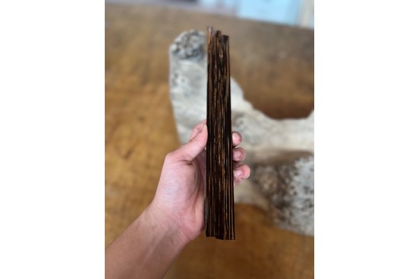 10mmx10mmx50cm Vahşi Palmiya Ağacı (Siyah)