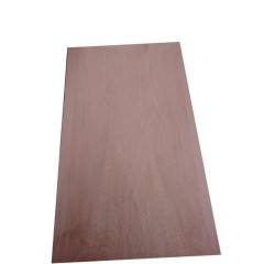 1.5cmx30cmx50cm Gürgen Ağacı