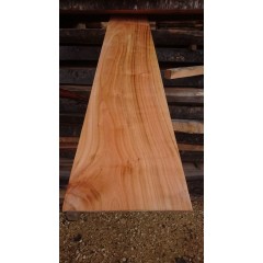 6mmx40cmx100cm Kiraz Ağacı